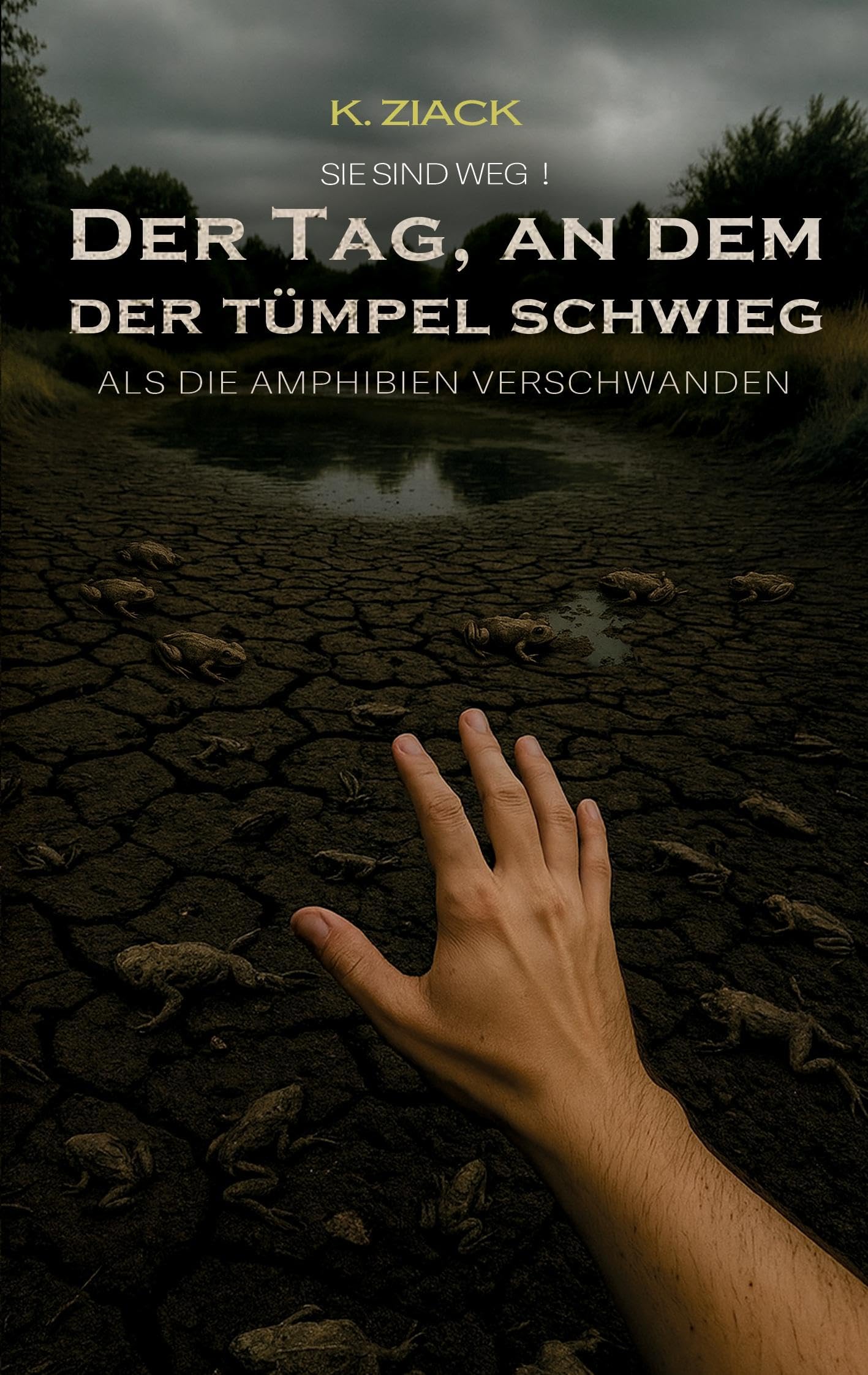 Sie sind weg: Der Tag, an dem der Tümpel schwieg