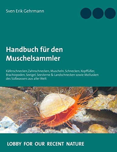 Handbuch für den Muschelsammler: Käferschnecken,Zahnschnecken, Muscheln, Schnecken, Kopffüßer, Brachiopoden, Seeigel, Seesterne & Landschnecken sowie Mollusken des Süßwassers aus aller Welt