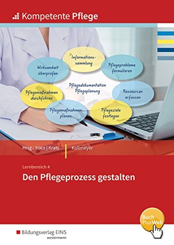 Den Pflegeprozesse gestalten - Thérèse Kollmeyer Kartoniert (TB)