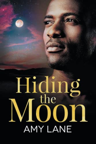 Hiding the Moon (Fish Out of Water, Band 2)