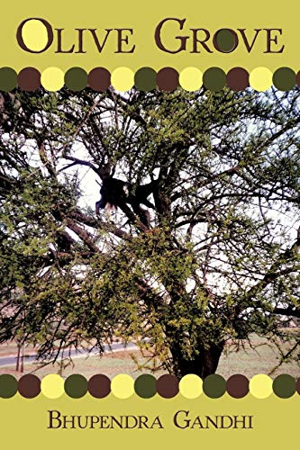 Olive Grove