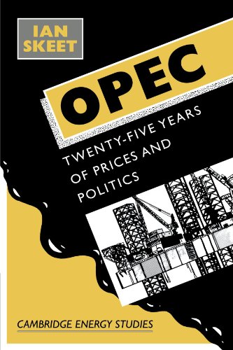 Opec:: Twenty-Five Years of Prices and Politics (Cambridge Energy and Environment Series)