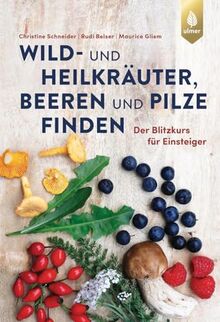 Wild- und Heilkräuter, Beeren und Pilze finden: Der Blitzkurs für Einsteiger