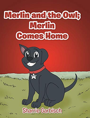 Merlin and the Owl: Merlin Comes Home