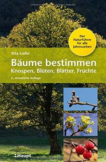 Bäume bestimmen - Knospen, Blüten, Blätter, Früchte: Der Naturführer für alle Jahreszeiten
