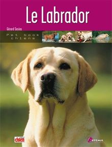 Le labrador