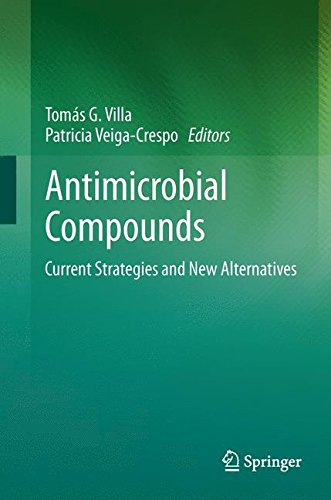Antimicrobial Compounds: Current Strategies and New Alternatives