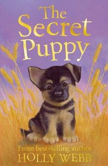 The Secret Puppy (Holly Webb Animal Stories, Band 22)
