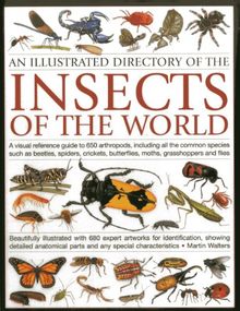 Illustrated Directory of Insects of the World: A Visual Reference Guide to 650 Arthropods, Including All the Common Species Such as Beetles, Spiders, ... Butterflies, Moths, Grasshoppers and Flies
