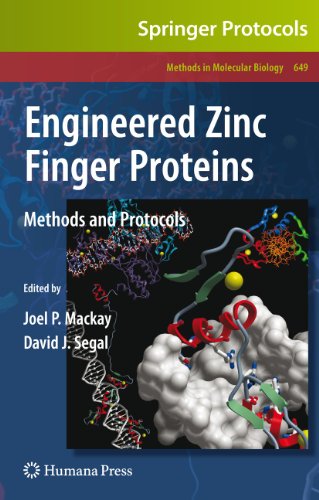 Engineered Zinc Finger Proteins: Methods and Protocols (Methods in Molecular Biology, 649, Band 649)