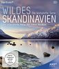 Wildes Skandinavien [Blu-ray]