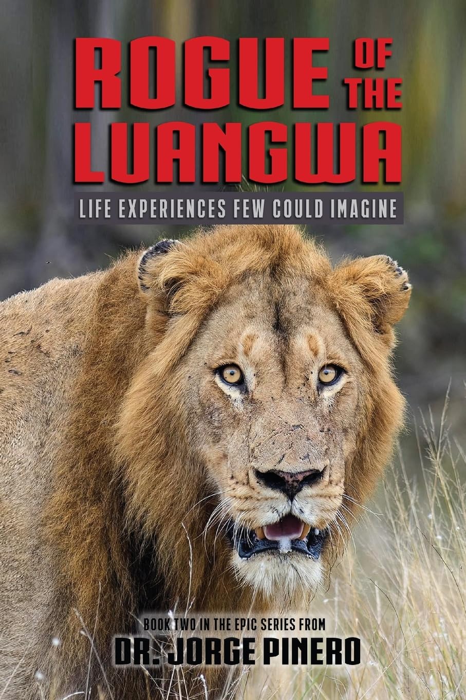 Oelder Buchhandlung – Lange Str, 59302 Oelde