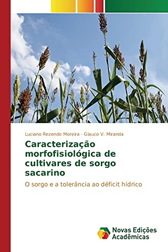 Caracterização morfofisiológica de cultivares de sorgo sacarino: O sorgo e a tolerância ao déficit hídrico