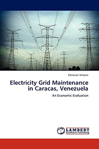 Electricity Grid Maintenance in Caracas, Venezuela: An Economic Evaluation
