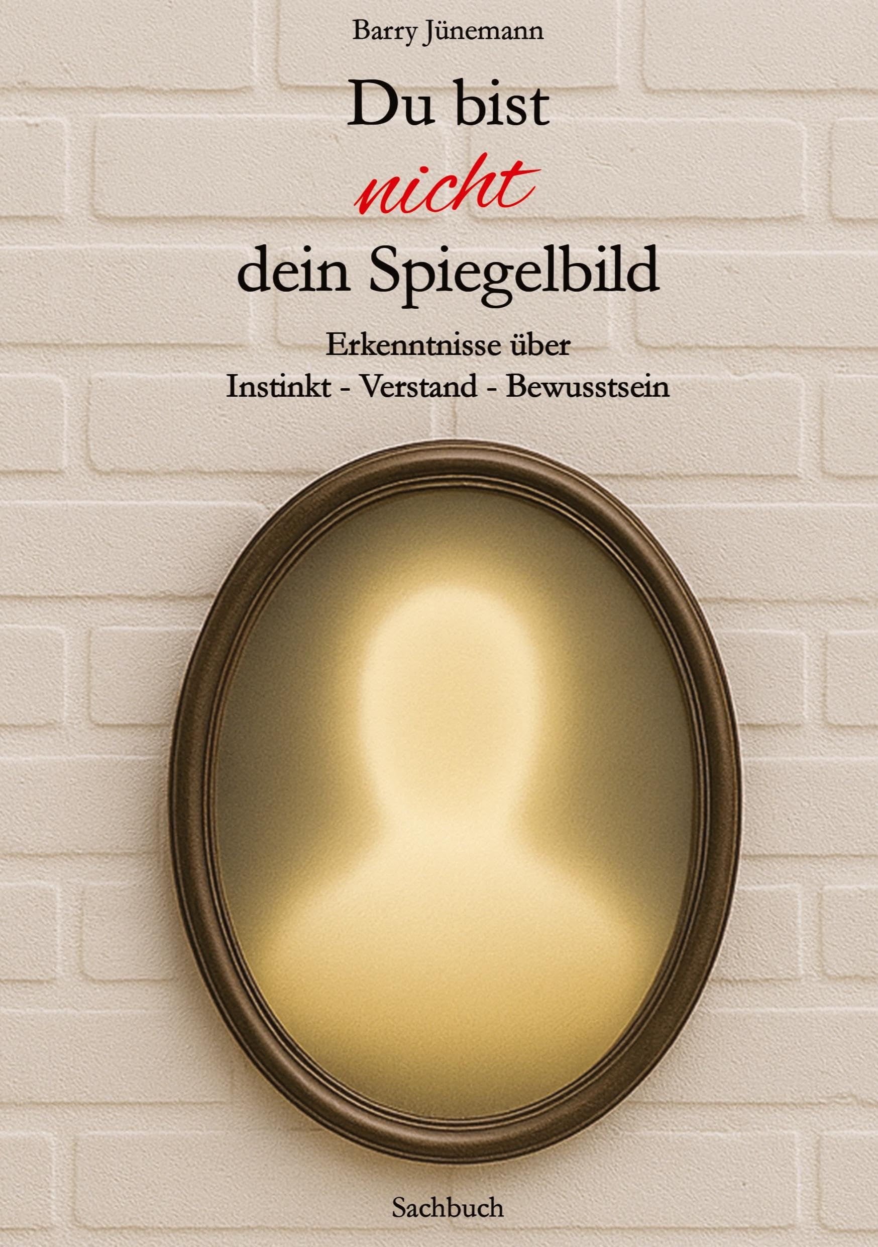 Du bist nicht dein Spiegelbild: Erkenntnisse über Instinkt - Verstand - Bewusstsein