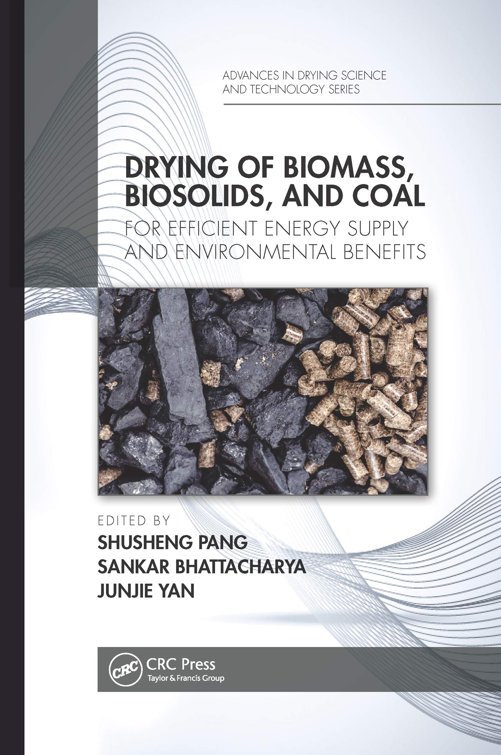 Drying of Biomass, Biosolids, and Coal: For Efficient Energy Supply and Environmental Benefits (Advances in Drying Science and Technology)
