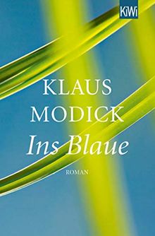Ins Blaue: Roman