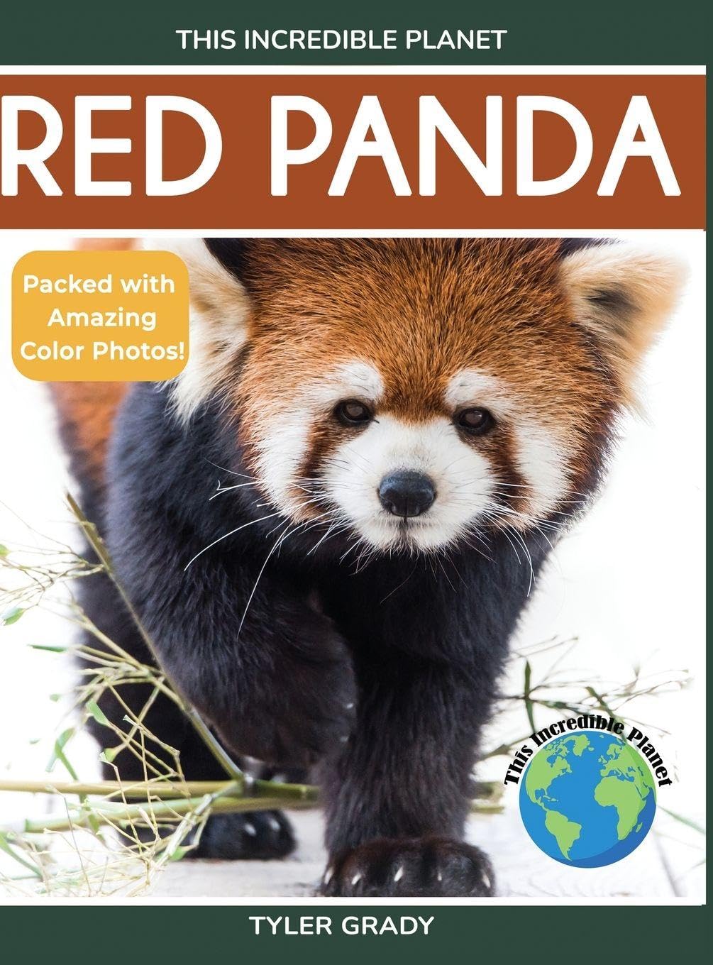 Red Panda