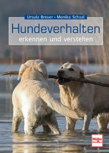 Hundeverhalten - erkennen und verstehen