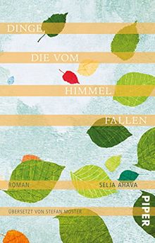 Dinge, die vom Himmel fallen: Roman