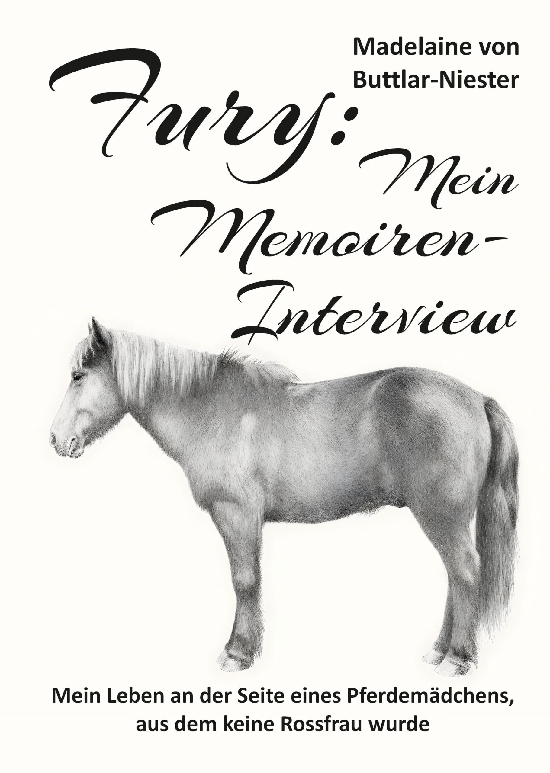 Fury: Mein Memoiren-Interview