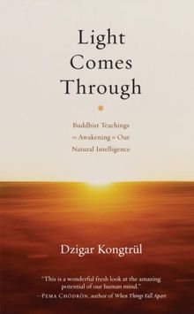 Light Comes Through: Buddhist Teachings on Awakening to Our Natural Intelligence