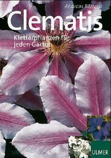 Schöne Clematis. Kletterpflanzen für jeden Garten