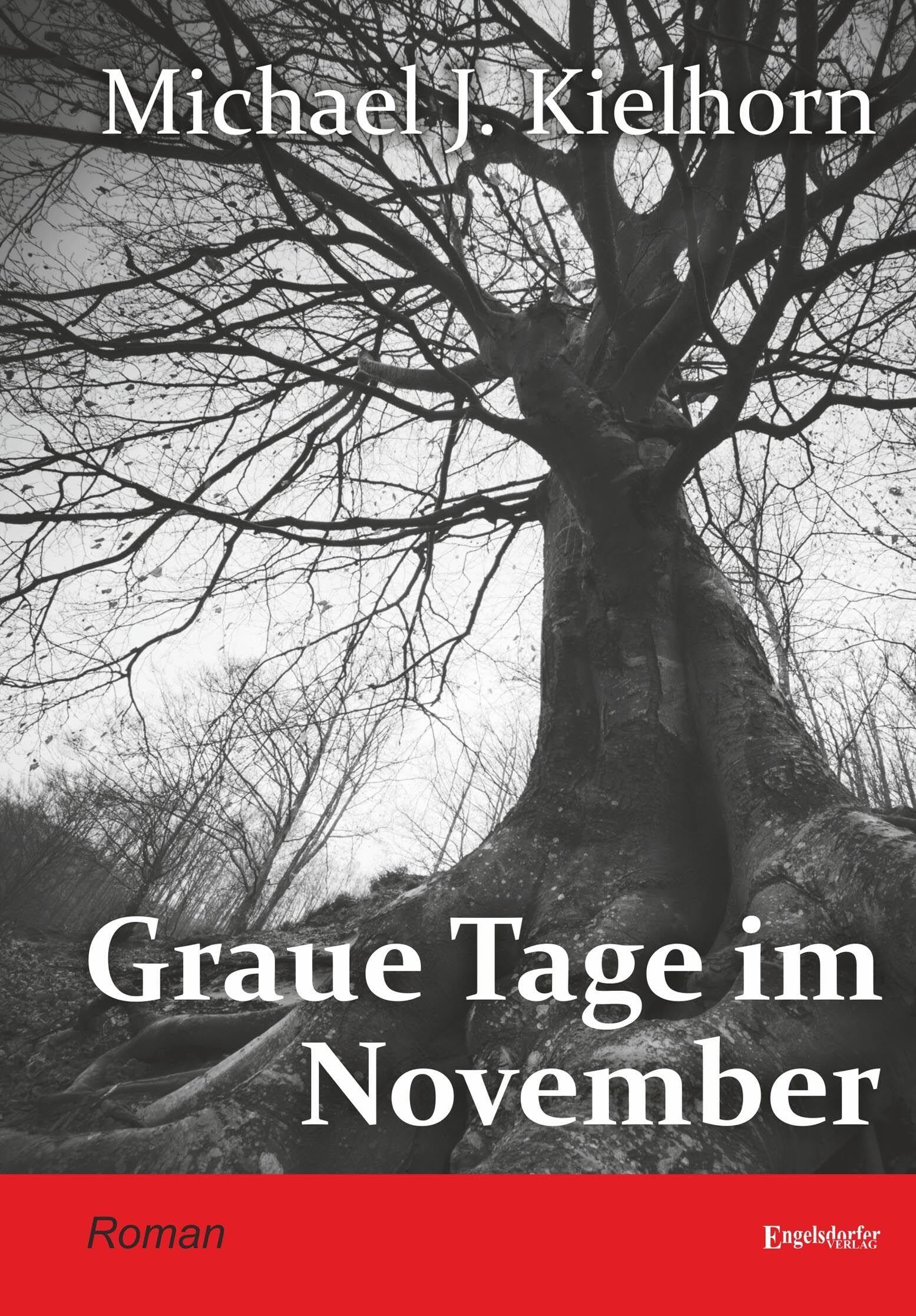 Graue Tage im November - Neuware