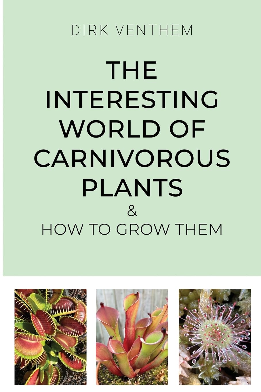 The Interesting World of Carnivorous Plants & How to Grow Them