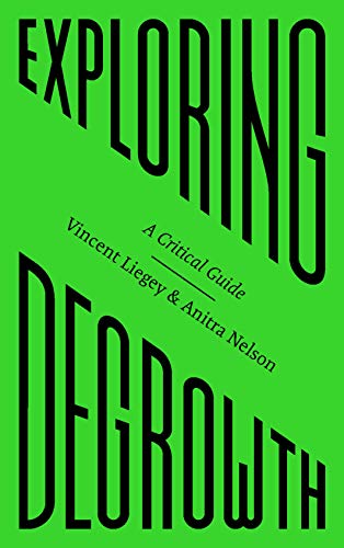 Vincent Liegey Exploring Degrowth, A Critical Guide (FireWorks)