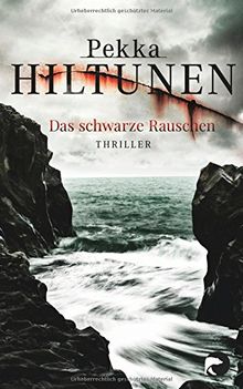 Das schwarze Rauschen: Thriller (Studio, Band 2)