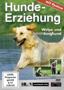 Hundeerziehung mit System: Welpe und Junghund