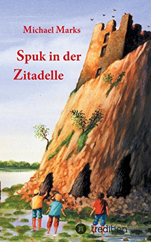 Spuk in der Zitadelle (Jugendkrimireihe Niklas und seine Freunde)