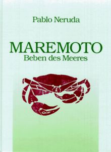 Maremoto. Beben des Meeres