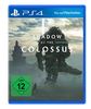 Shadow of the Colossus - Standard Edition - [PlayStation 4]