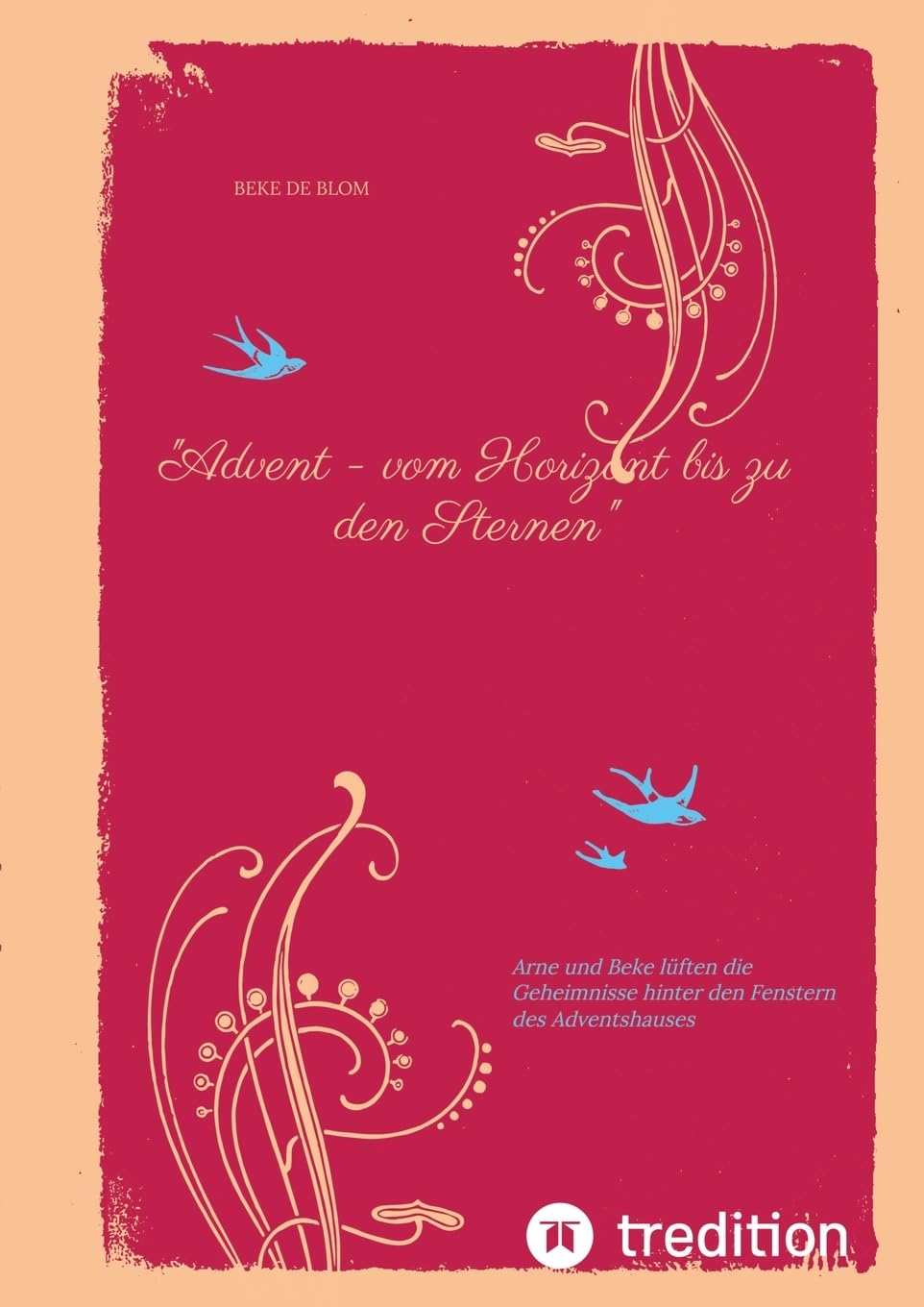 Advent - vom Horizont bis zu den Sternen: Arne und Beke lüften die Geheimnisse hinter den Fenstern des Adventshauses (Arne und Beke und allerlei Geheimnisse)