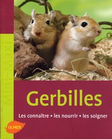 Gerbilles : les connaître, les nourrir, les soigner