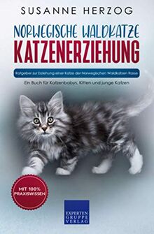 Norwegische Waldkatze Katzenerziehung - Ratgeber zur Erziehung einer Katze der Norwegischen Waldkatzen Rasse: Ein Buch für Katzenbabys, Kitten und junge Katzen (Norwegische Waldkatzen, Band 1)