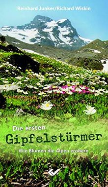 Die ersten Gipfelstürmer: Wie Blumen die Alpen erobern