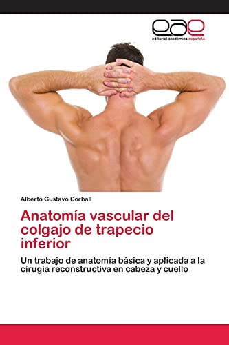 Anatomía vascular del colgajo de trapecio inferior: Un trabajo de anatomía básica y aplicada a la cirugía reconstructiva en cabeza y cuello