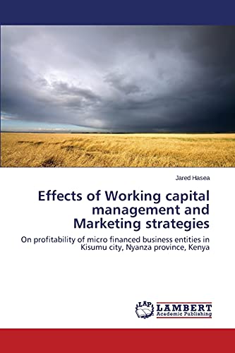 Effects of Working capital management and Marketing strategies: On profitability of micro financed business entities in Kisumu city, Nyanza province, Kenya