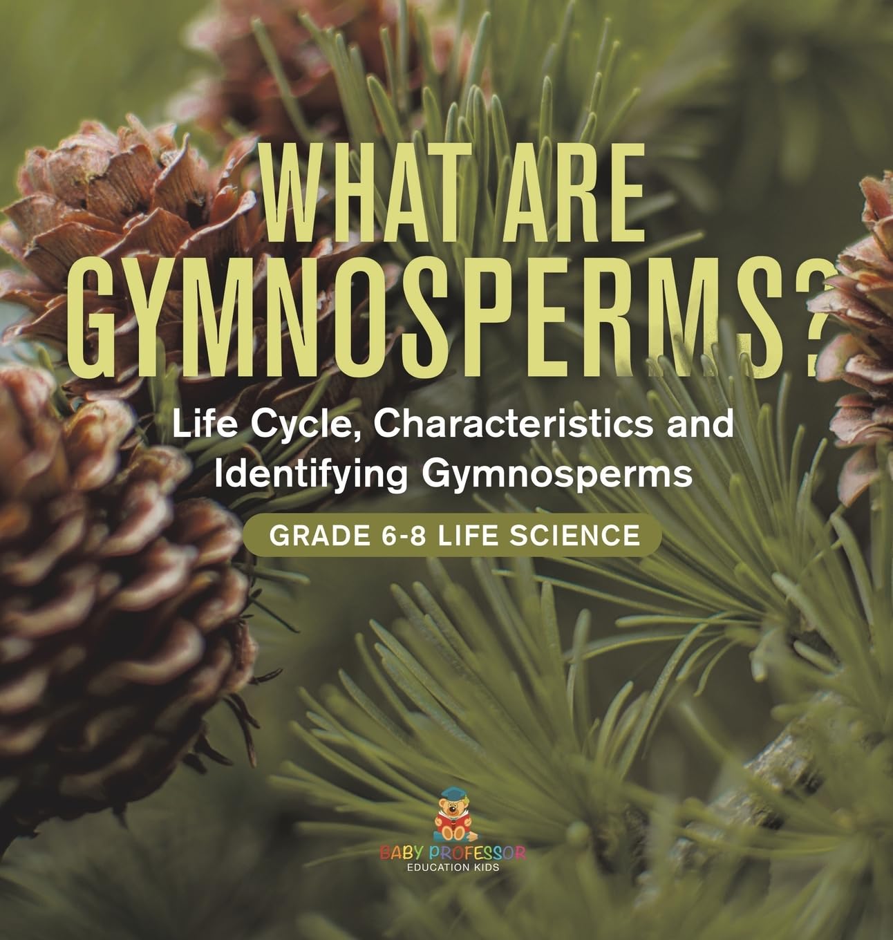 What are Gymnosperms? Life Cycle, Characteristics and Identifying Gymnosperms Grade 6-8 Life Science