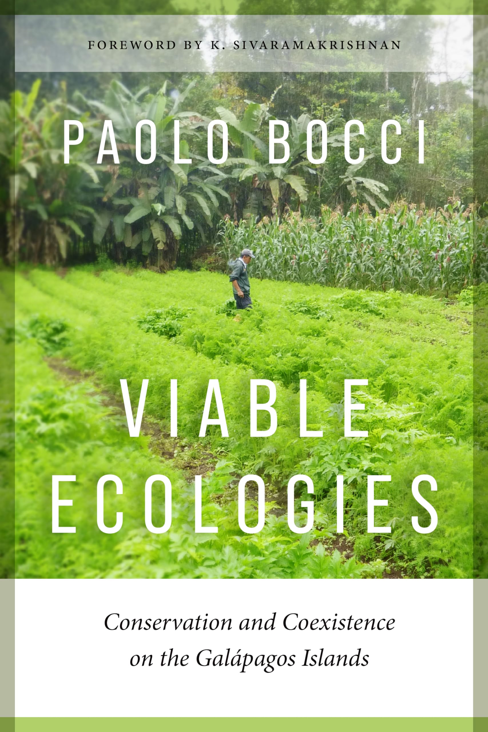 Viable Ecologies: Conservation and Coexistence on the Galápagos Islands (Culture, Place and Nature)