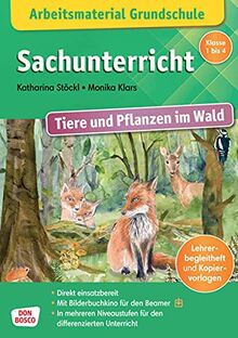 Arbeitsmaterial Grundschule. Sachunterricht. Tiere und Pflanzen im Wald: Arbeitsblätter, Kopiervorlagen & Spiele I In 3 Niveaustufen I Sofort ... Grundschule – Sachwissen im Kamishibai)