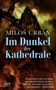 Im Dunkel der Kathedrale: Roman