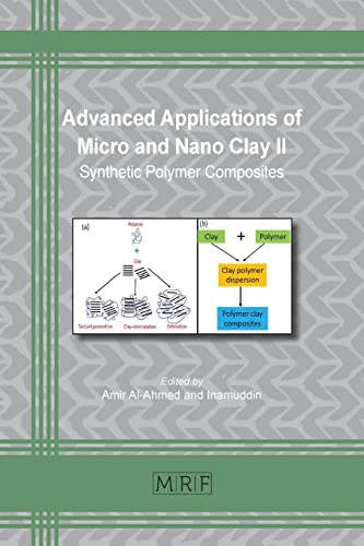 Advanced Applications of Micro and Nano Clay II: Synthetic Polymer Composites (Materials Research Foundations, Band 129)