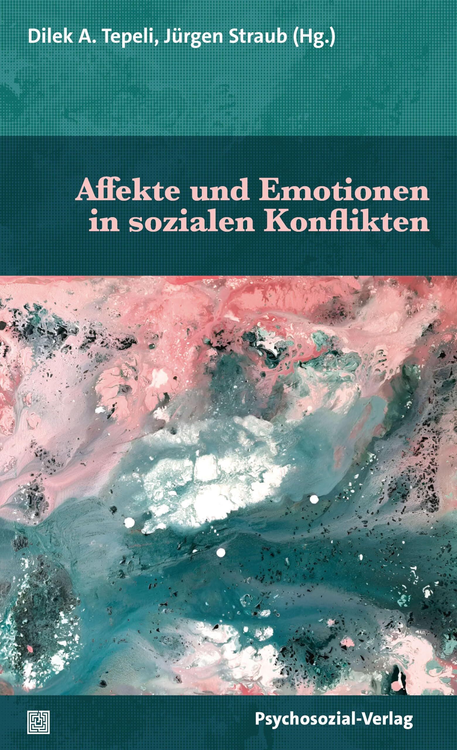 Affekte und Emotionen in sozialen Konflikten - Neuware