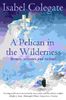 A Pelican in the Wilderness: Hermits, Solitaries and Recluses