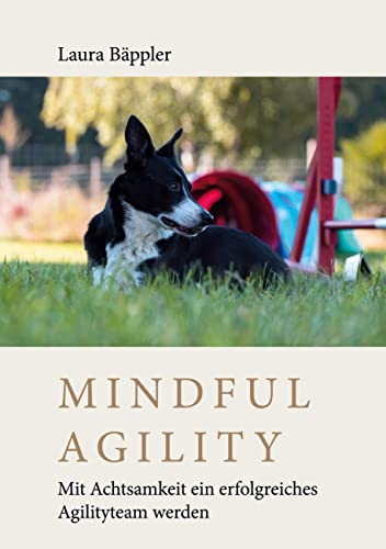 Mindful Agility: Mit Achtsamkeit ein erfolgreiches Agilityteam werden