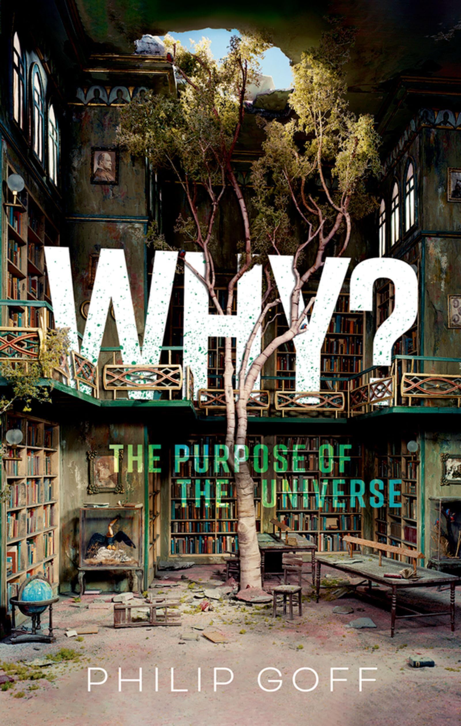 Philip Goff Why? The Purpose Of The Universe